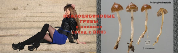 мдпв Навашино