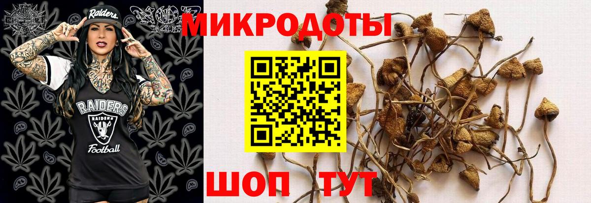Галлюциногенные грибы Magic Shrooms Красноперекопск