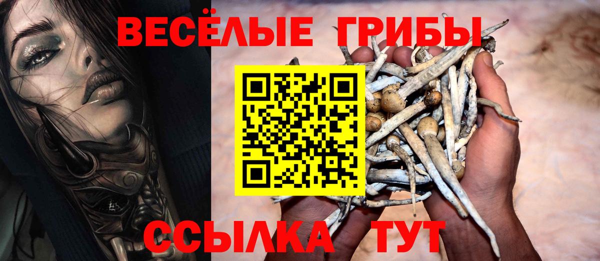 Псилоцибиновые грибы ЛСД  Псилоцибиновые грибы Psilocybe  Вход с VPN  Красноперекопск 