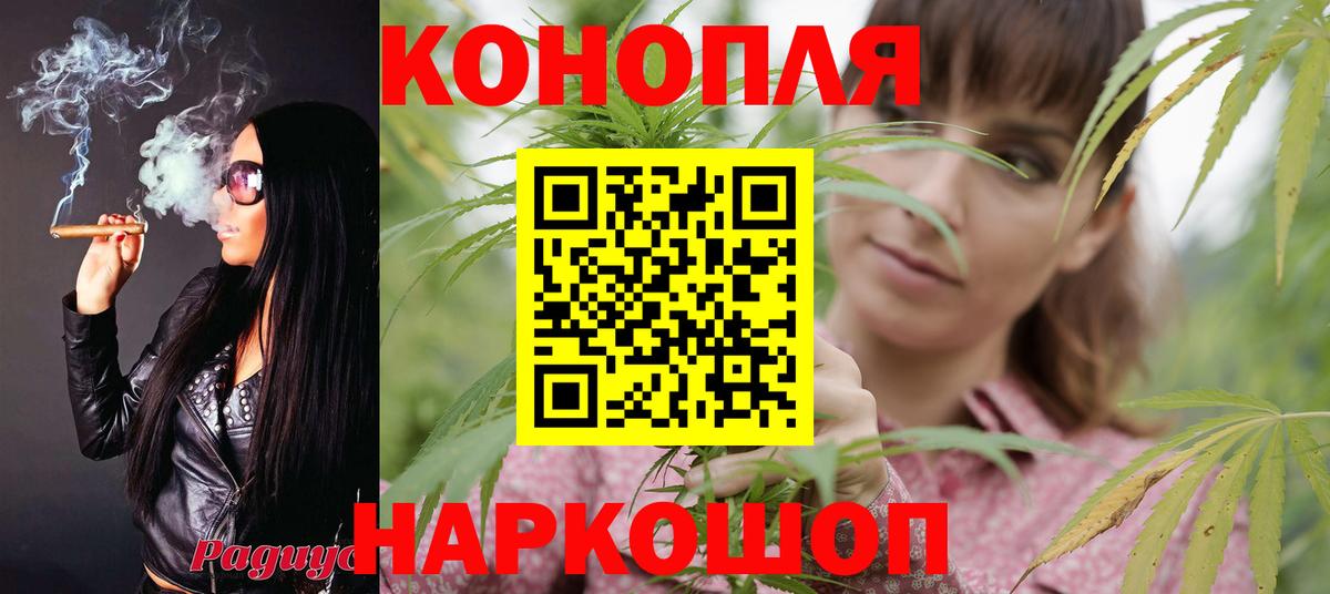 Бошки Шишки семена Красноперекопск